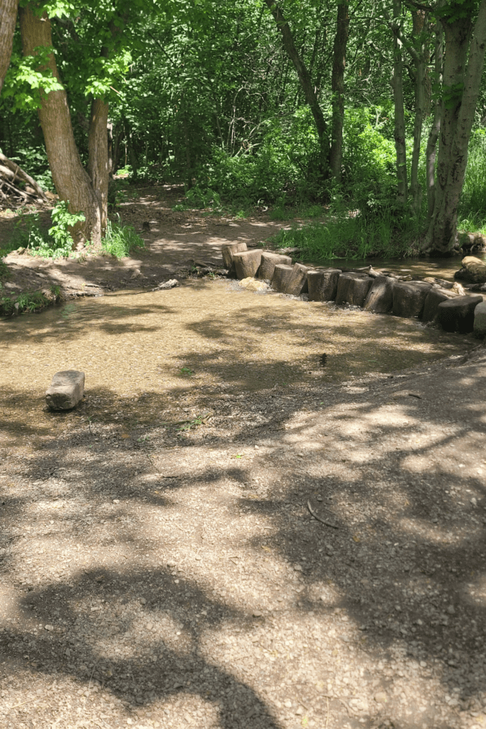 Image illustrates a survival hut into the woods.