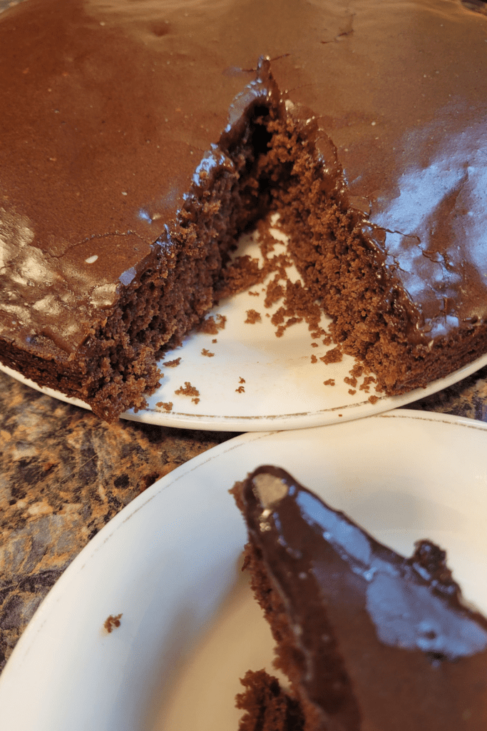 Image illustrates sourdough chocolate cake.