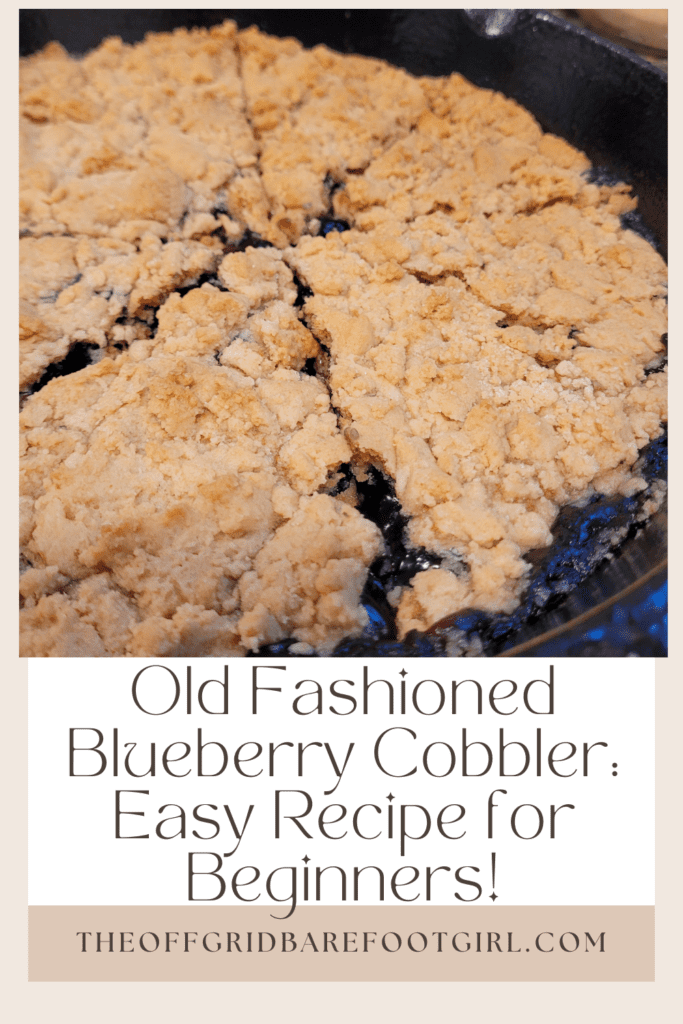 Image illustrates a Pinterest pin of old fashioned blueberry cobbler. 