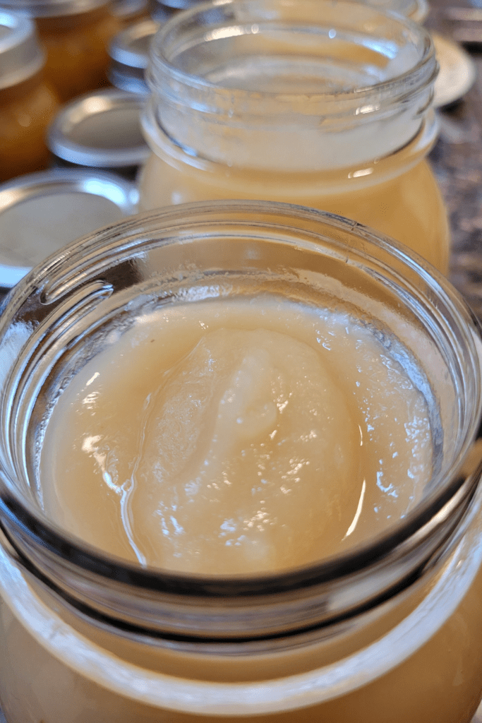 Image illustrates canning applesauce recipes.