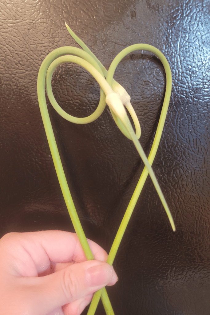 Image illustrates garlic scapes.