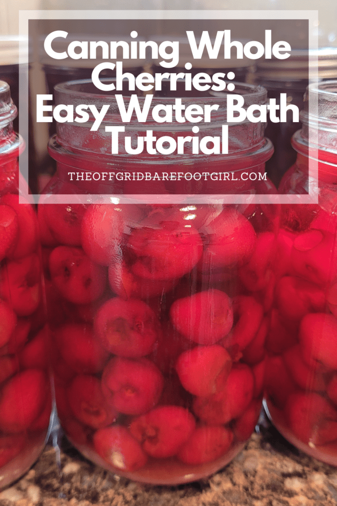 Image illustrates a Pinterest pin of canning whole cherries.