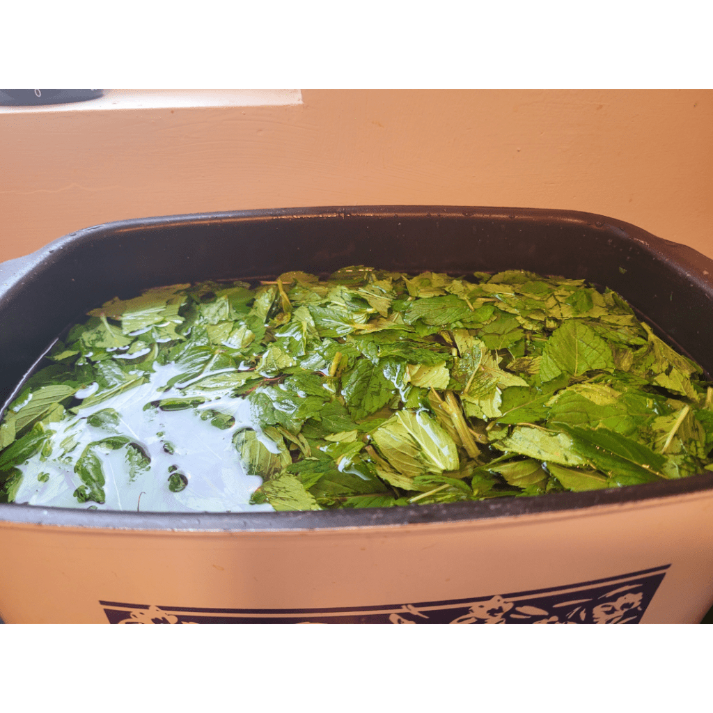 Image illustrates chopped mint.