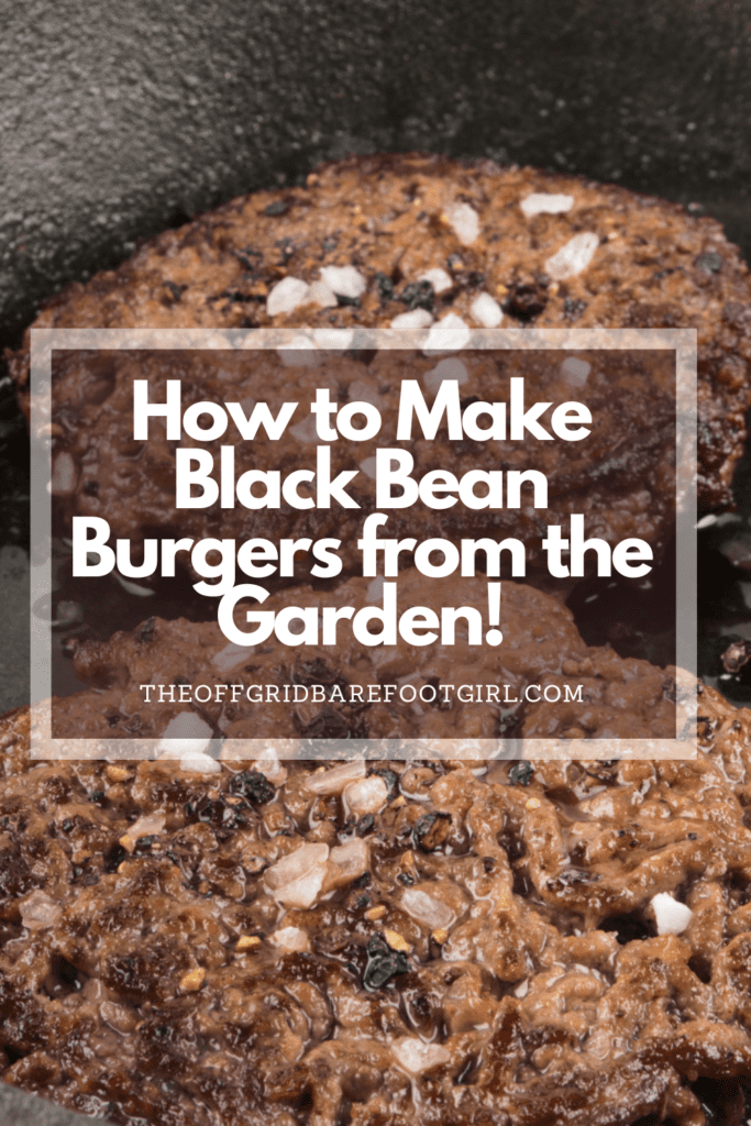 Image illustrates a Pinterest pin of black bean burgers.