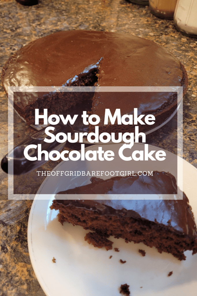 Image illustrates a Pinterest pin of sourdough chocolate cake.