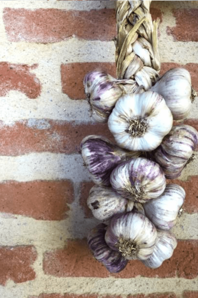 Image illustrates braided garlic.
