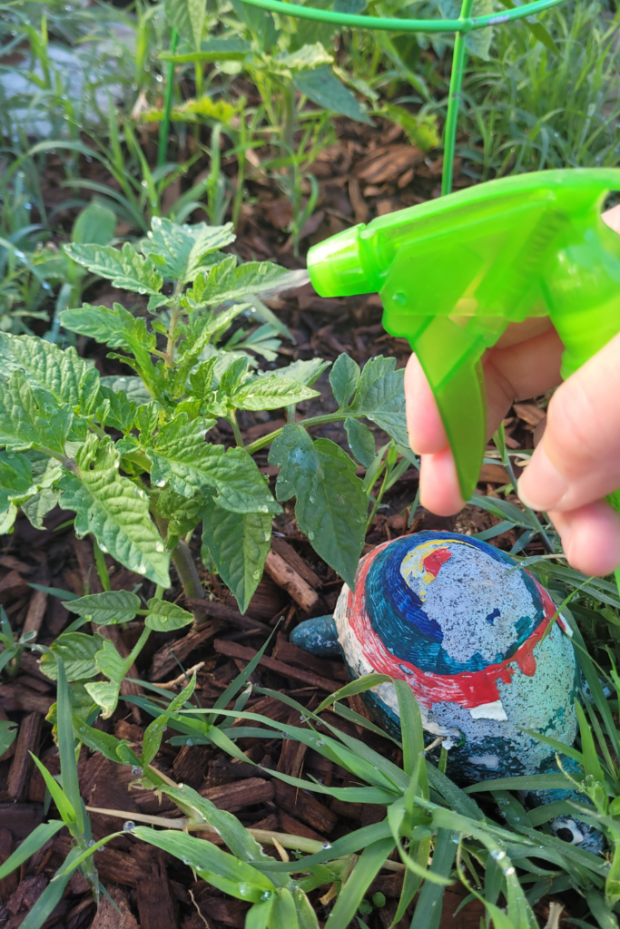 Image illustrates essential oils for plants.