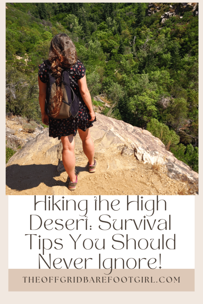 Image illustrates a Pinterest pin of a hiker hiking the high desert.