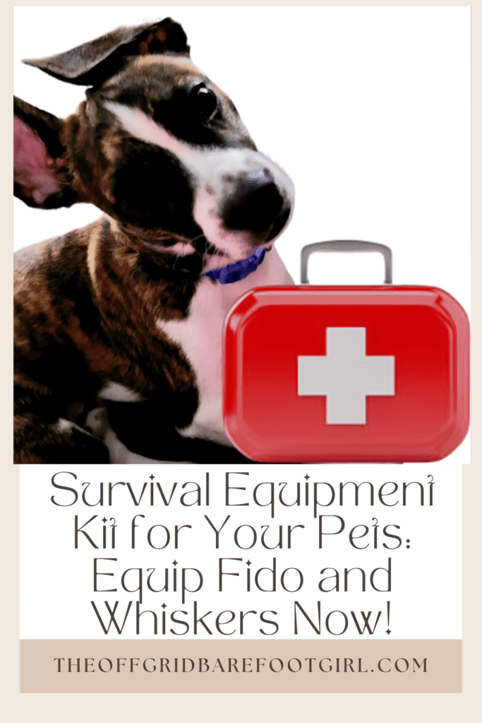 Image illustrates a Pinterest pin of survival equipment kit for your pets.