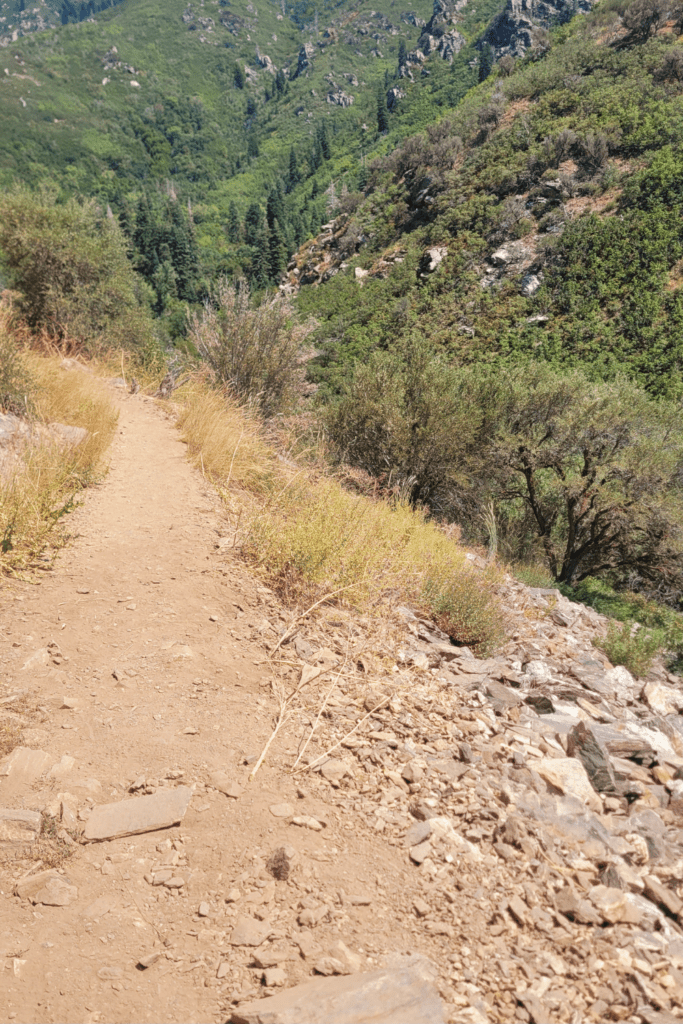 Image illustrates a rugged canyon trail for hiking the high desert.