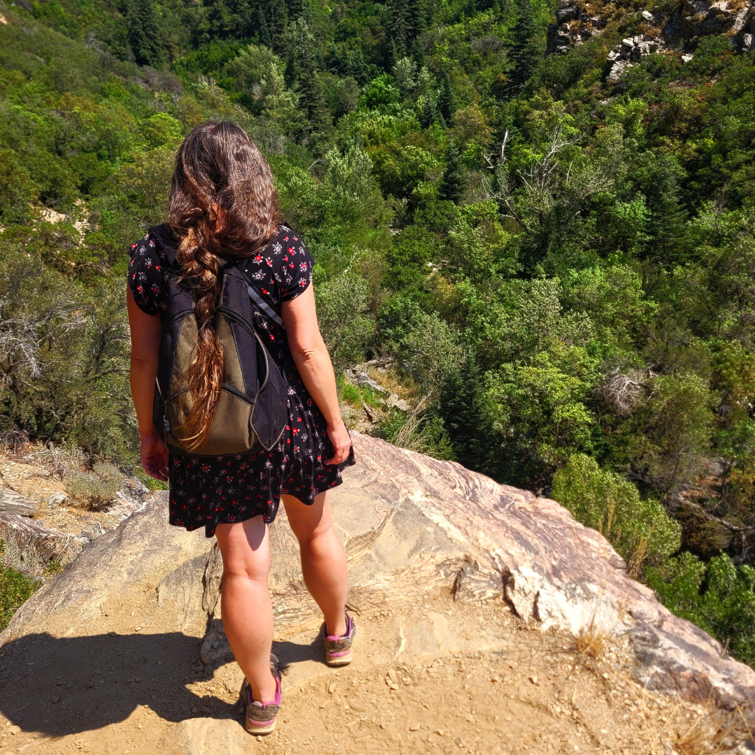 Image illustrates a hiker hiking the high desert.