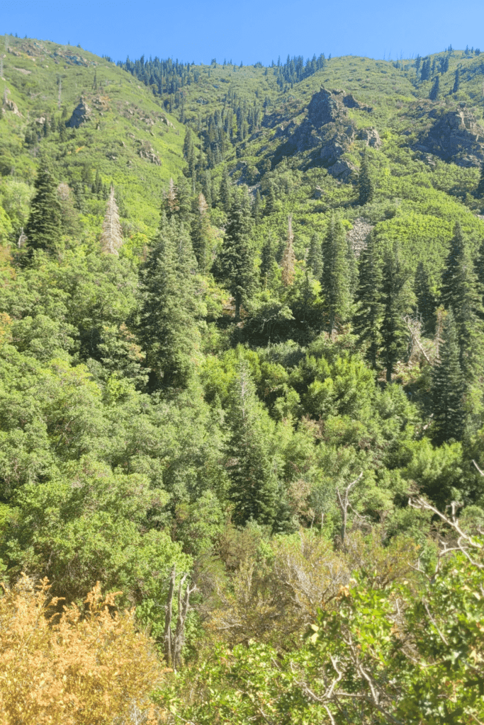 Image illustrates a landscape view of hiking the high desert.