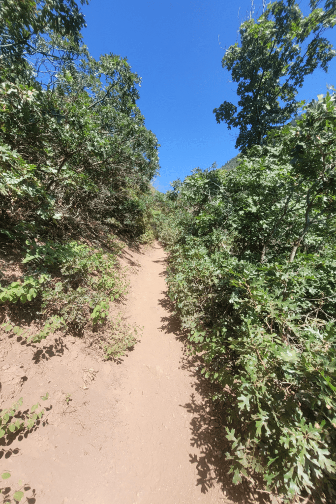 Image illustrates a landscape view of hiking the high desert.