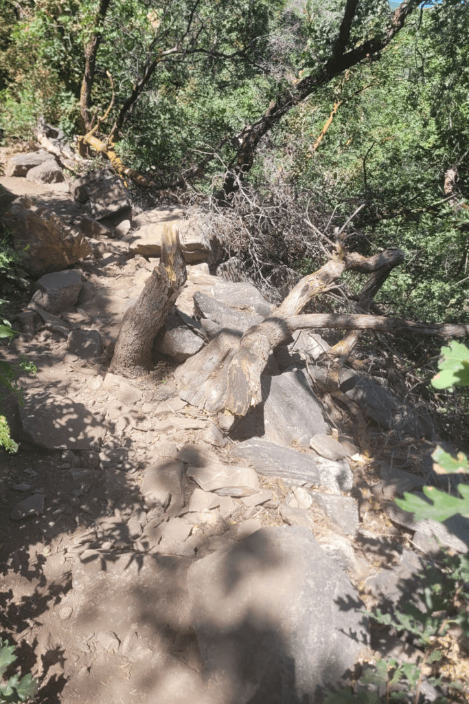 Image illustrates a landscape view of hiking the high desert.
