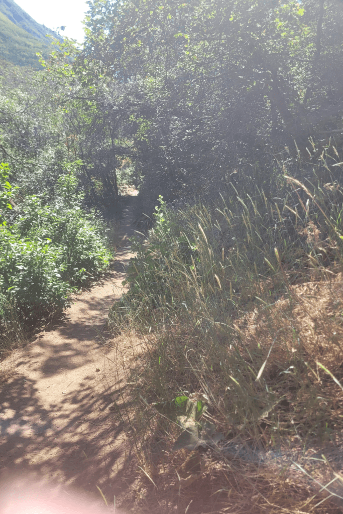 Image illustrates a landscape view of hiking the high desert.