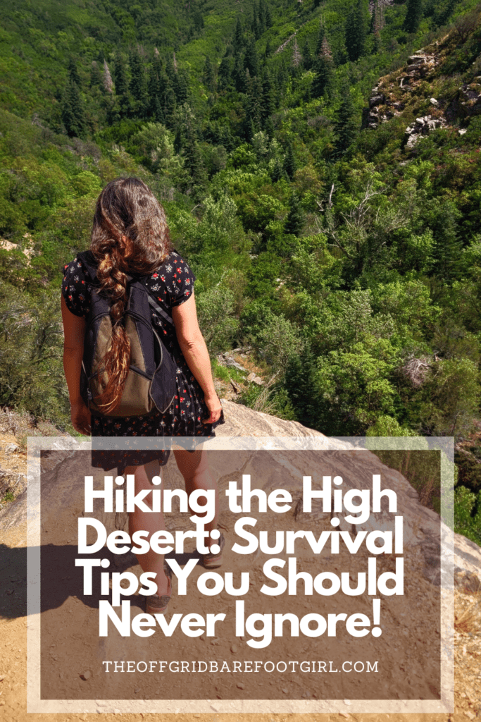 Image illustrates a Pinterest pin of a hiker hiking the high desert.