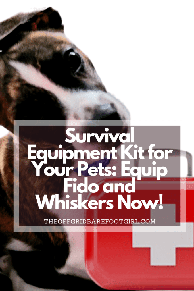 Image illustrates a Pinterest pin of survival equipment kit for your pets.
