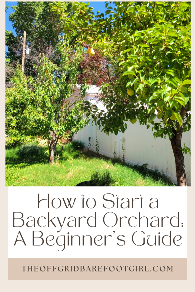 Image illustrates a Pinterest pin of a backyard orchard.