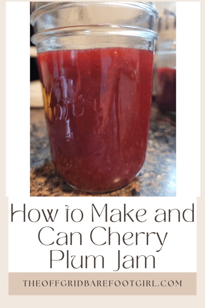 Image illustrates a Pinterest pin of cherry plum jam. 