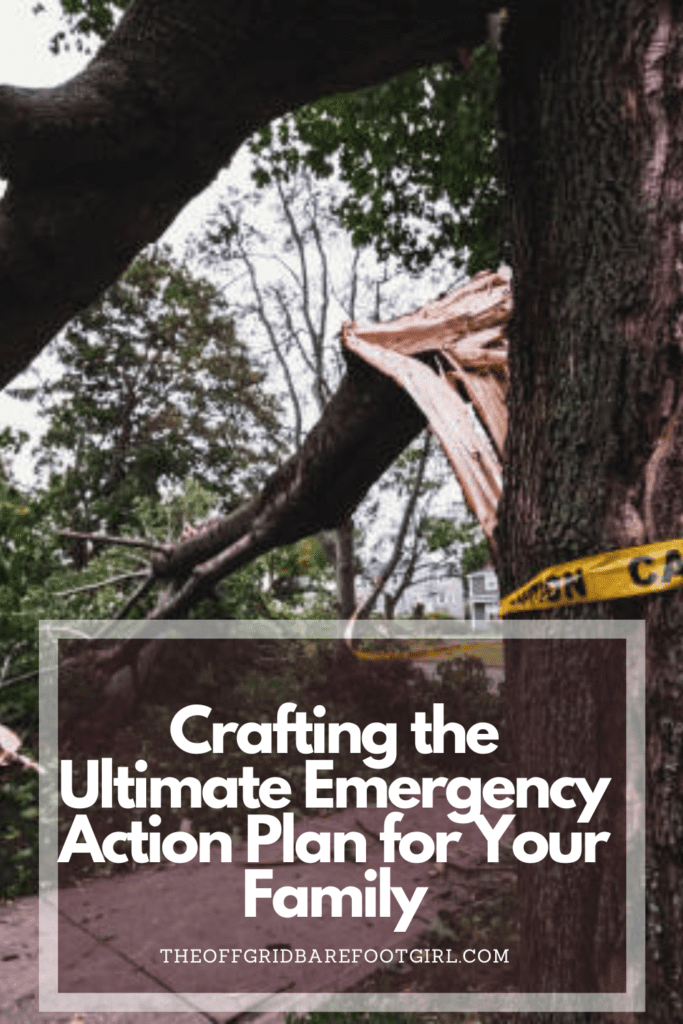 Image illustrates a Pinterest pin of a broken tree for an emergency action plan.