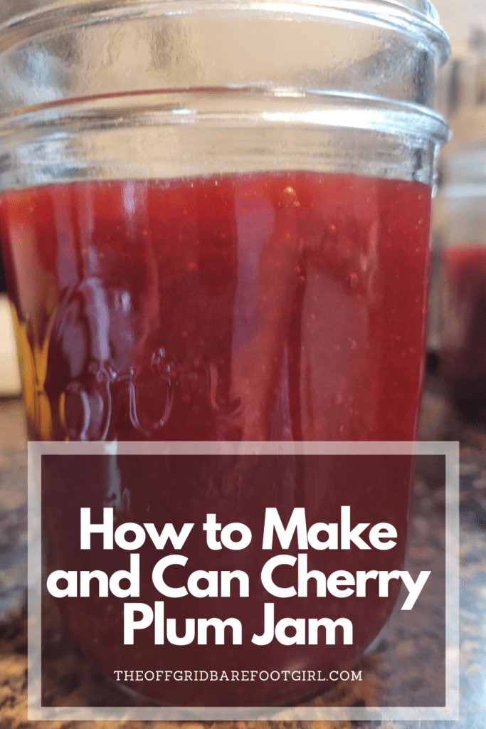 Image illustrates a Pinterest pin of cherry plum jam. 
