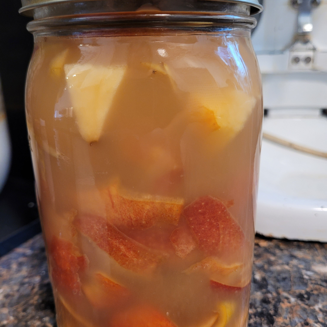 Image illustrates homemade apple cider vinegar.