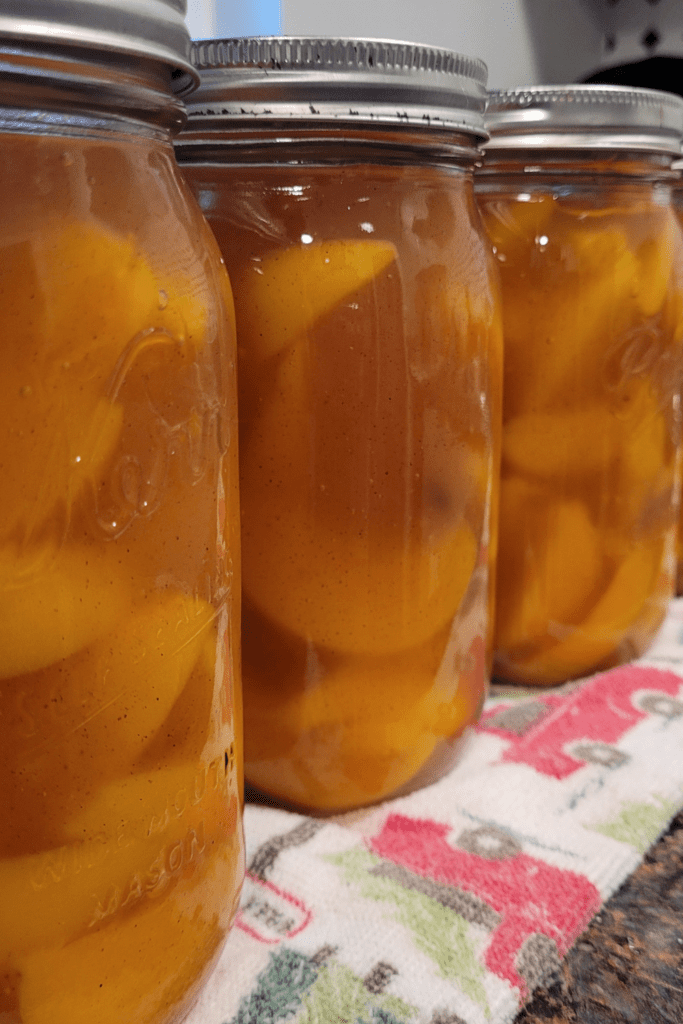 Image illustrates peach pie filling.