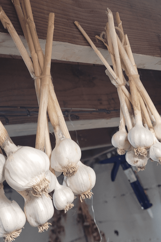 Image illustrates winter pantry staples. 