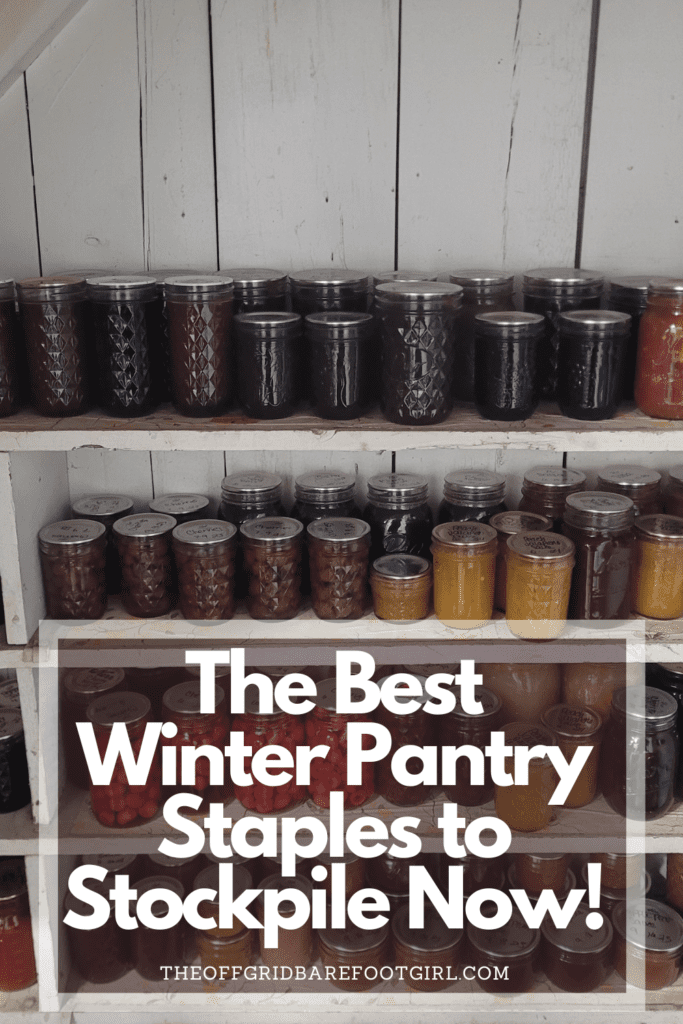 Image illustrates a Pinterest pin of winter pantry staples. 