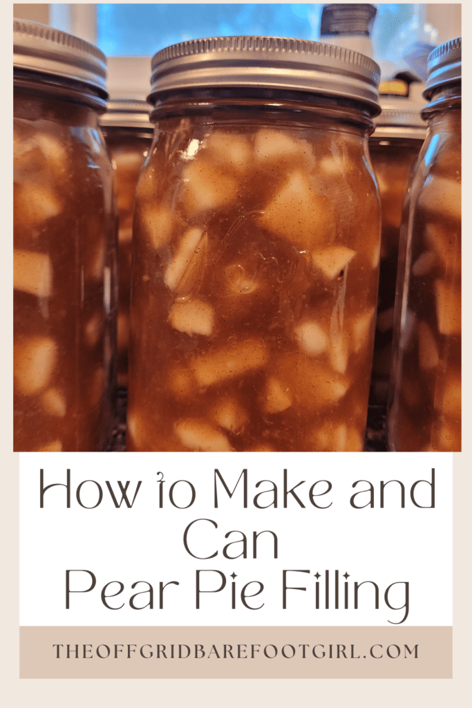 Image illustrates a Pinterest pin of pear pie filling.