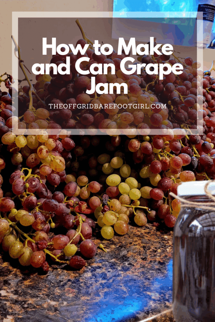 Image illustrates a Pinterest pin of grape jam.