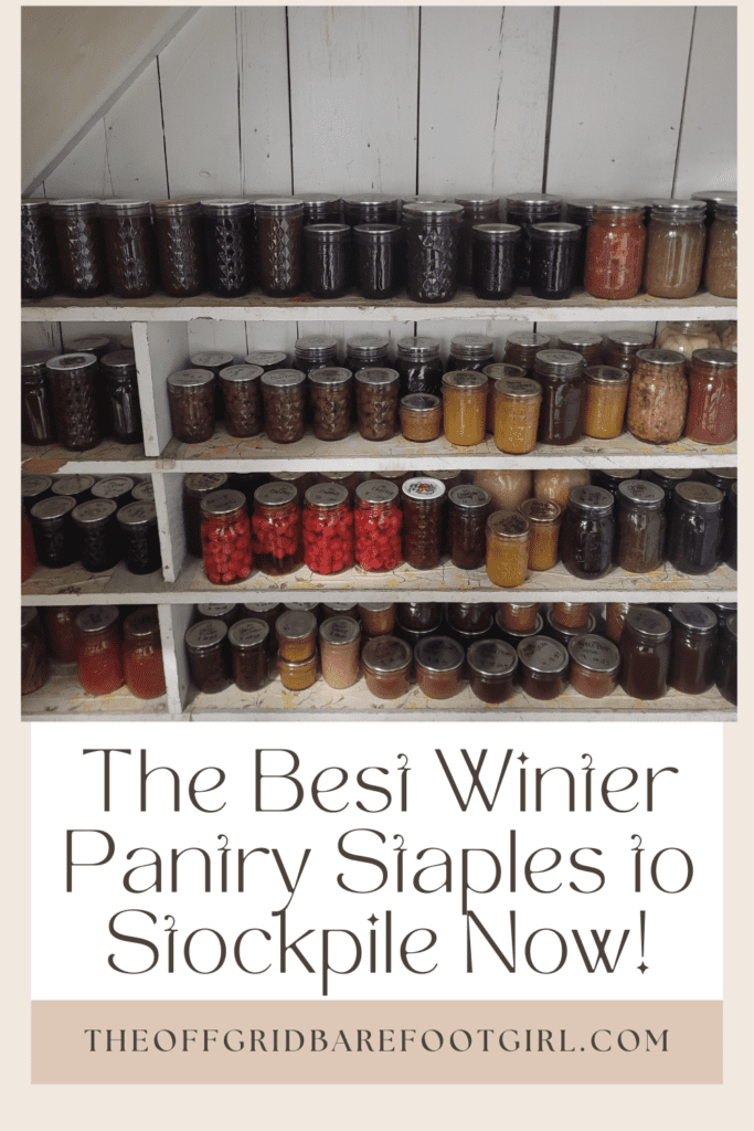 Image illustrates a Pinterest pin of winter pantry staples. 