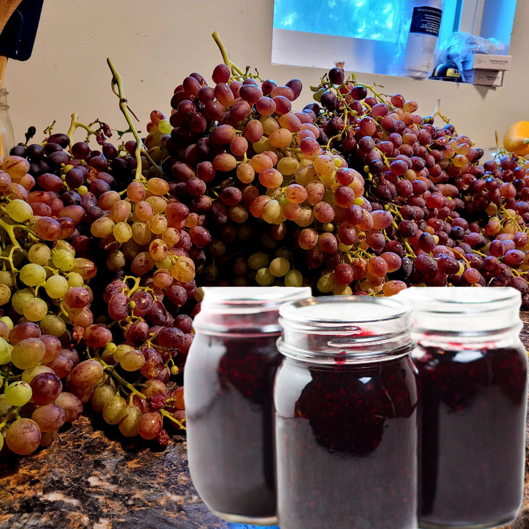 Image illustrates grape jam.