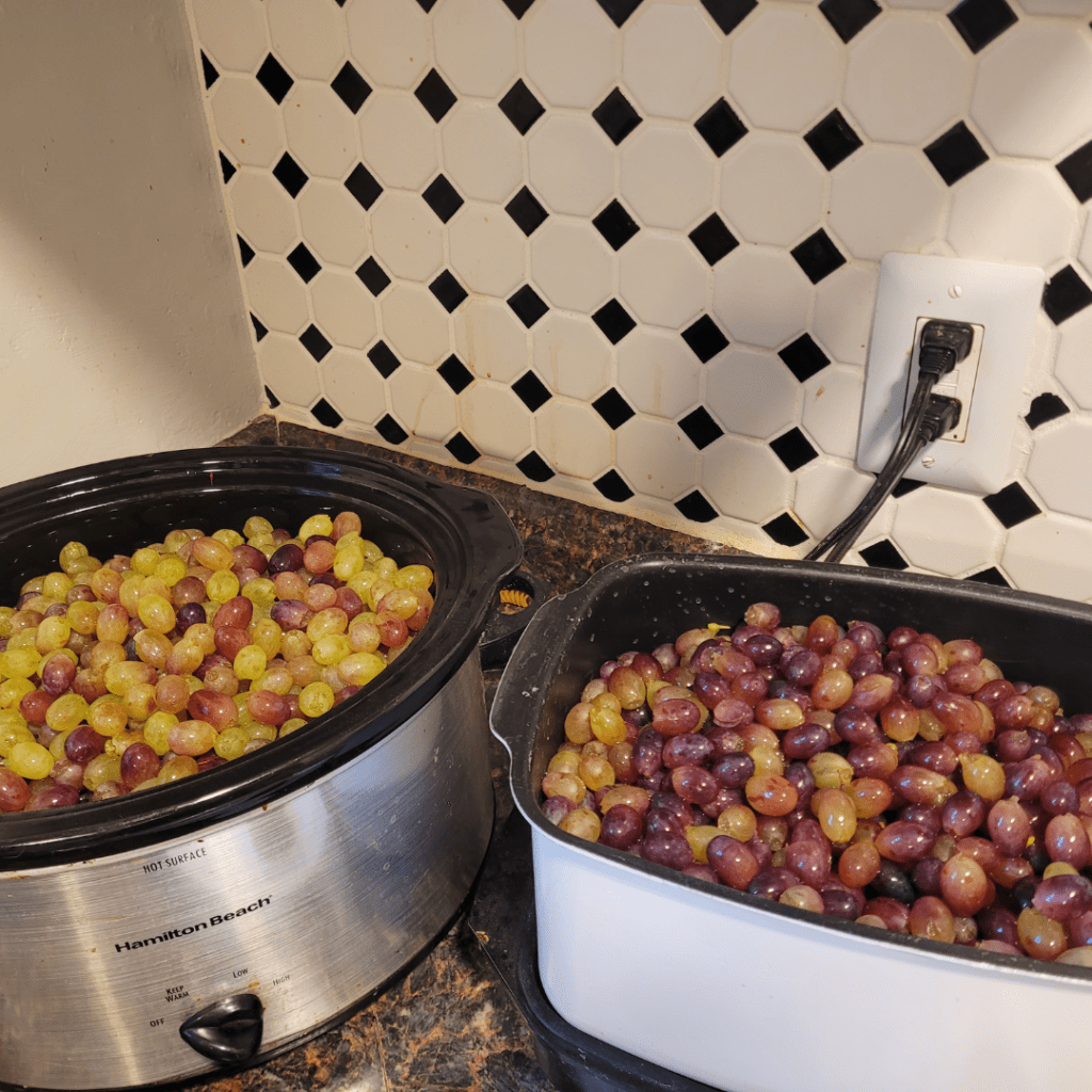 Image illustrates grapes for grape jam.