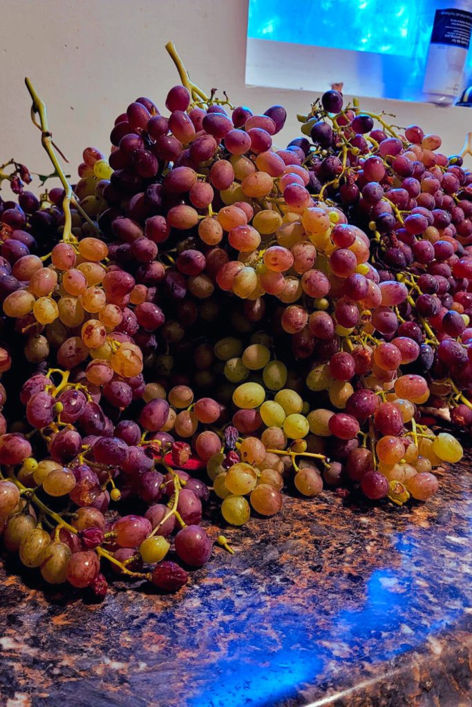 Image illustrates Concord grapes.