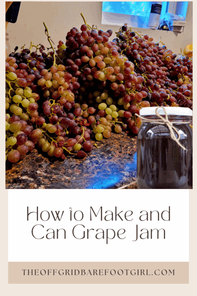Image illustrates a Pinterest pin of grape jam.