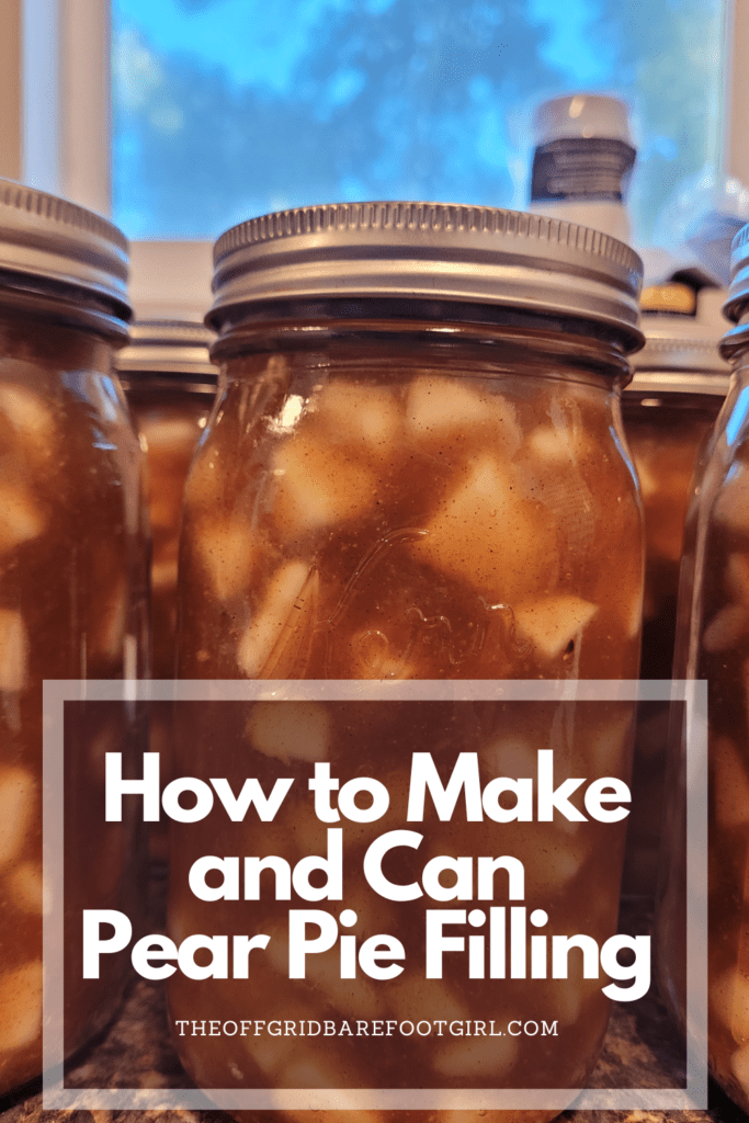 Image illustrates a Pinterest pin of pear pie filling.
