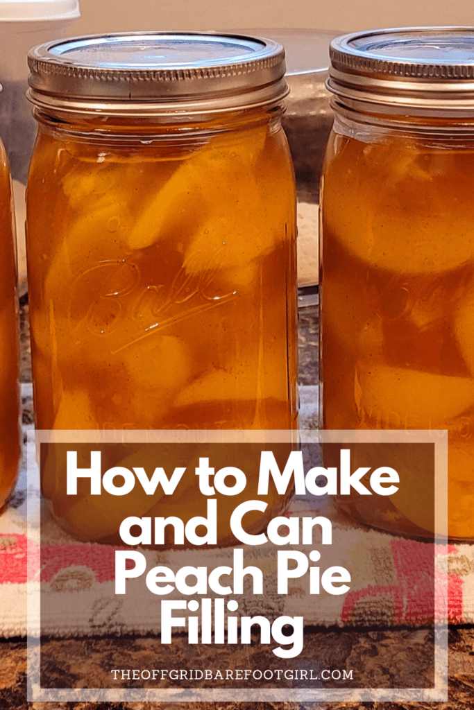Image illustrates a Pinterest pin of peach pie filling.