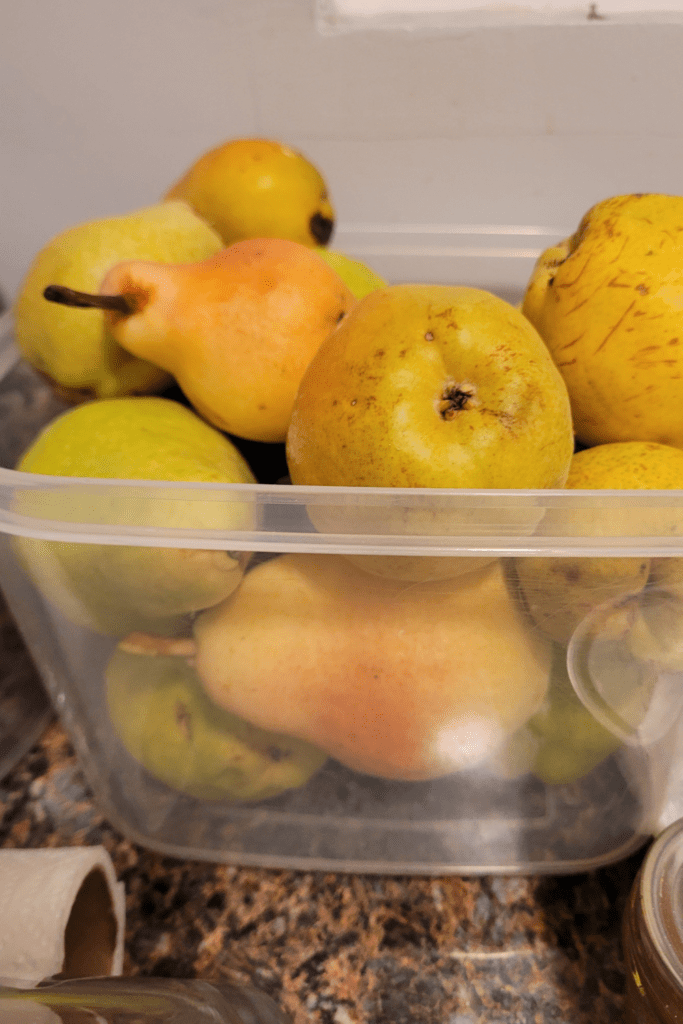 Image illustrates pears for pear pie filling.