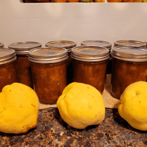 Image illustrates quince chutney.