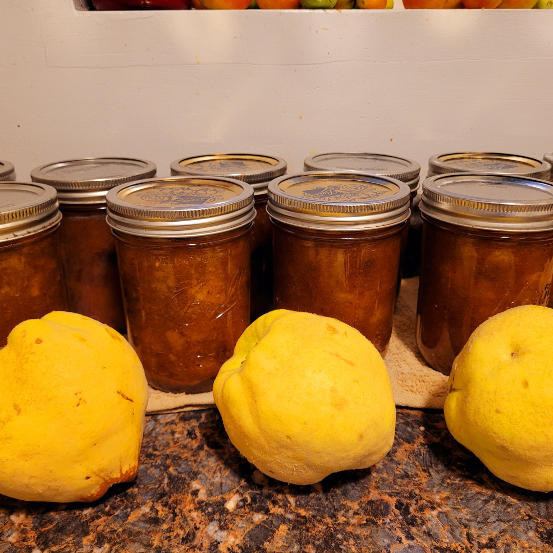 Image illustrates quince chutney.