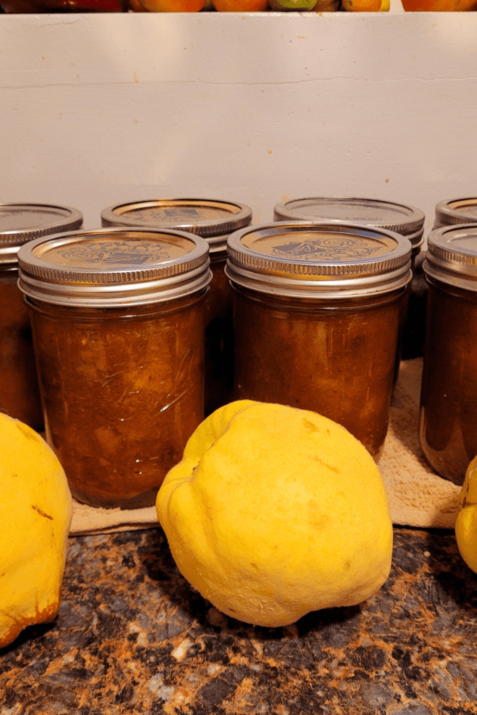 Image illustrates quince for quince chutney.