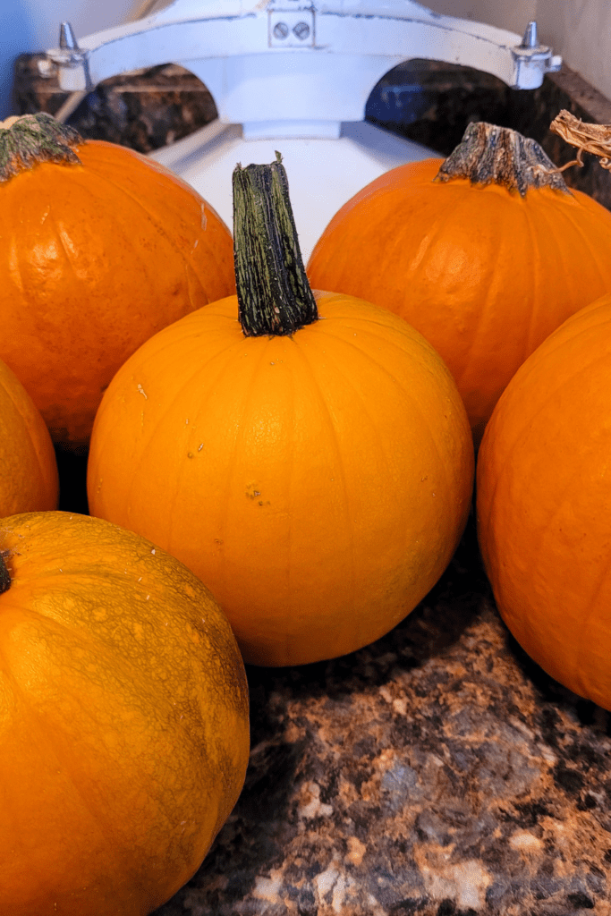 Image illustrates canned pumpkin.
