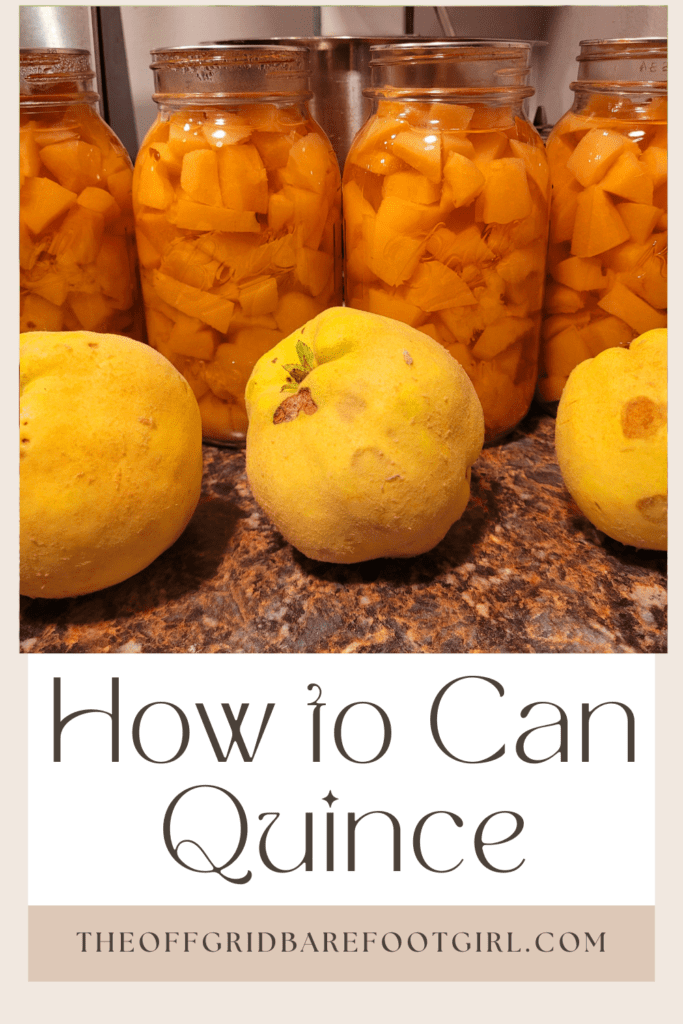 Image illustrates a Pinterest pin of quince.