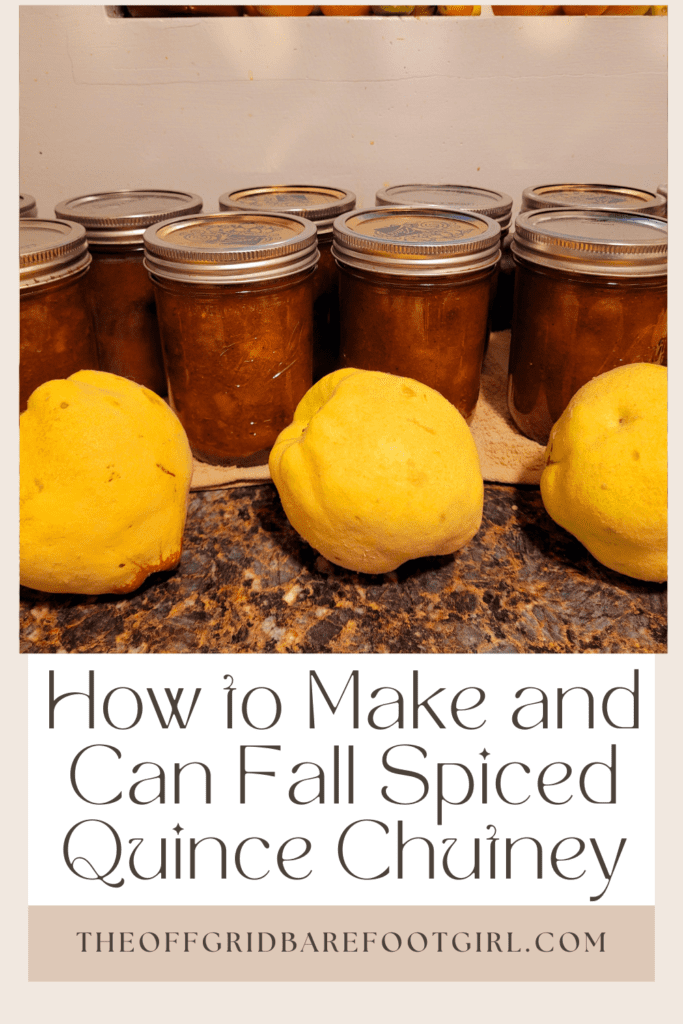 Image illustrates a Pinterest pin of quince chutney. 