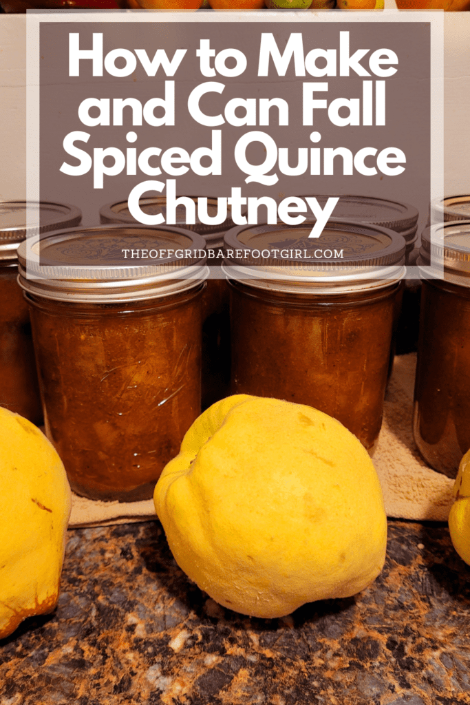 Image illustrates a Pinterest pin of quince chutney. 