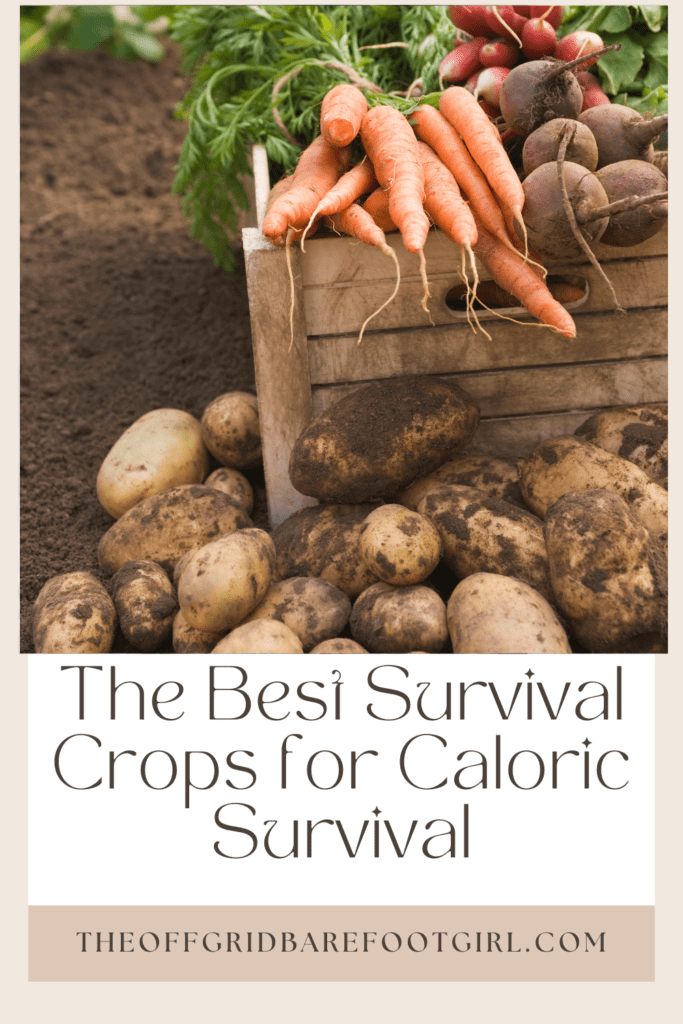 Image illustrates a Pinterest pin of survival crops.