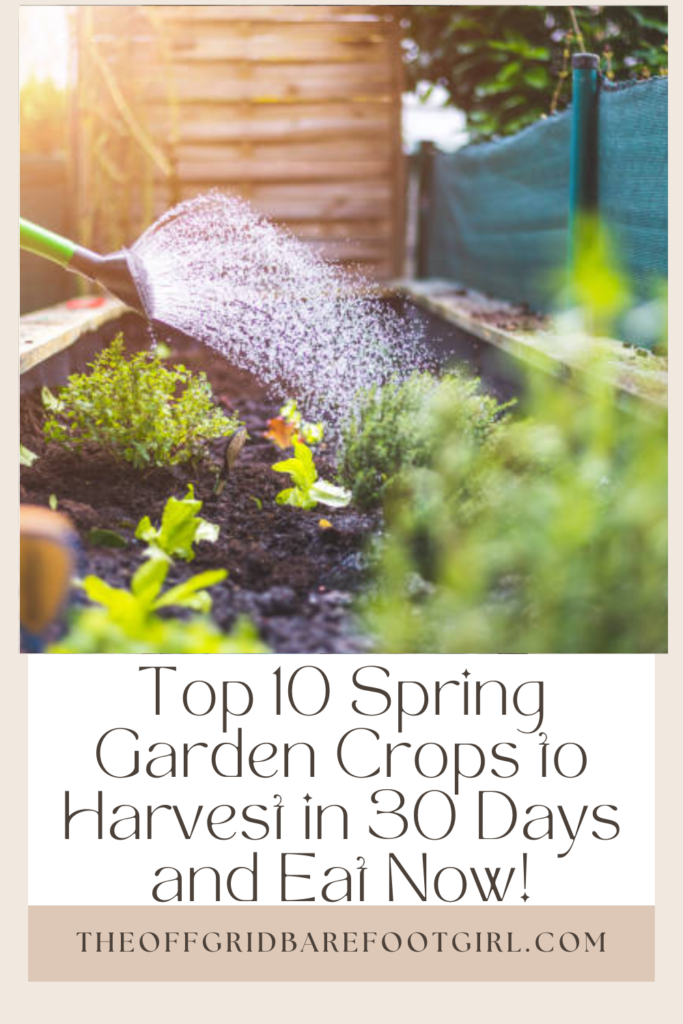 Image illustrates a Pinterest pin of a spring garden.