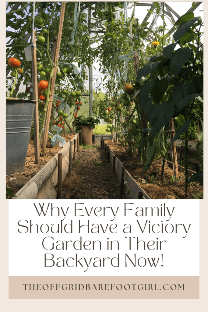 Image illustrates a Pinterest pin of a victory garden.