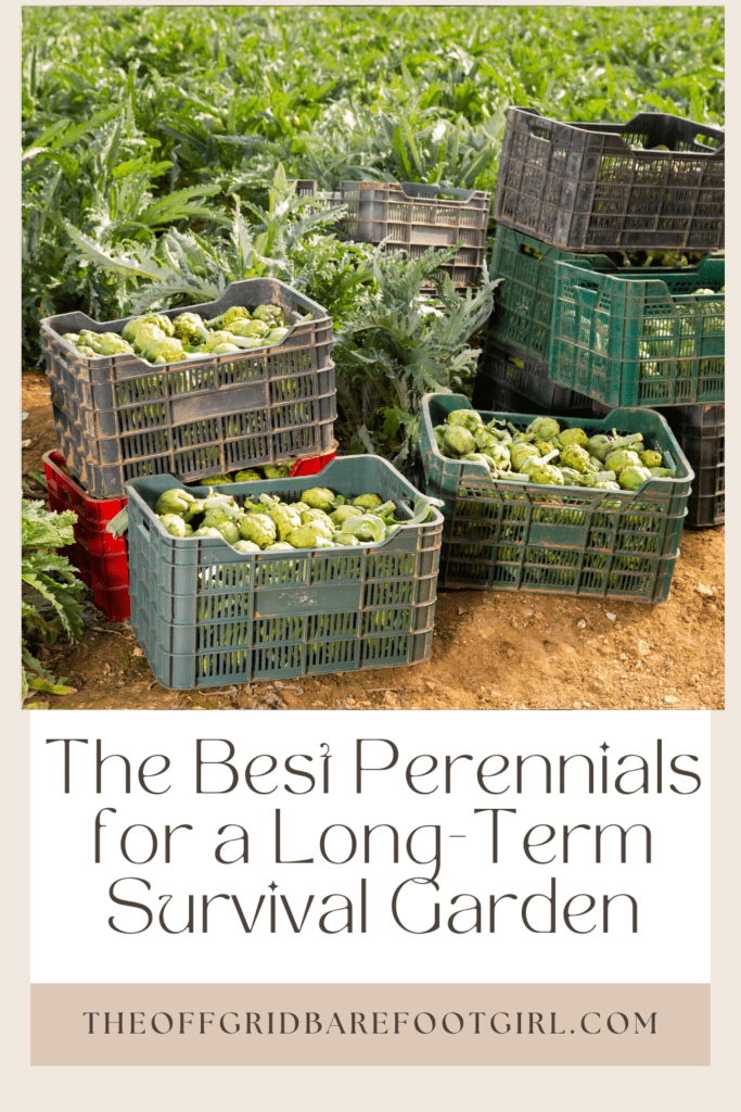 Image illustrates a Pinterest pin of the best perennial vegetables for a sustainable survival garden.